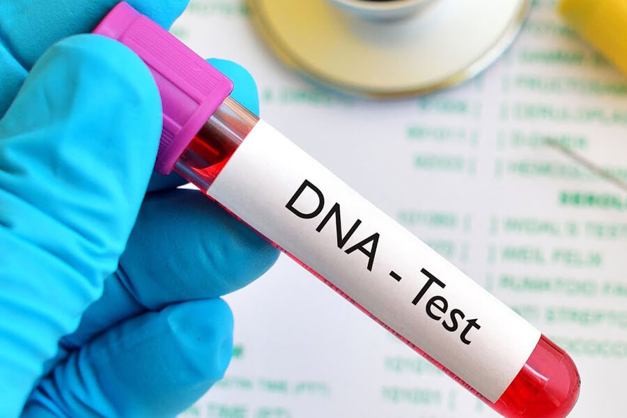 Địa chỉ giám định ADN chuẩn xác tại Hà Nội