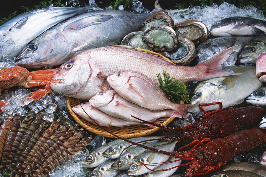 Địa chỉ bán hải sản tươi sống chất lượng ở Hà Nội