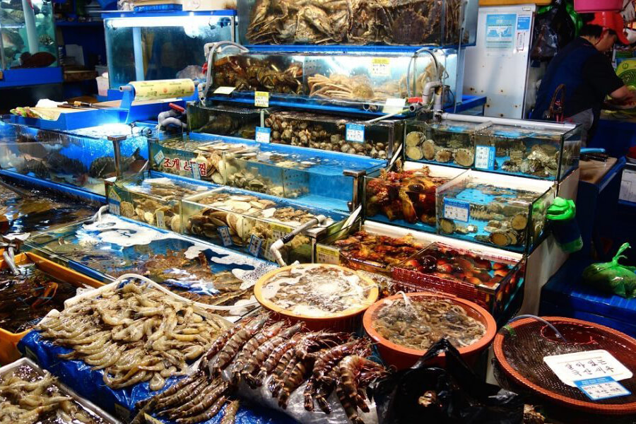 Điểm bán hải sản tươi sống giá rẻ ở Hà Nội
