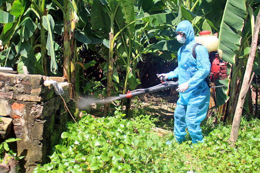 Dịch vụ phun thuốc diệt muỗi hàng đầu tại Hà Nội