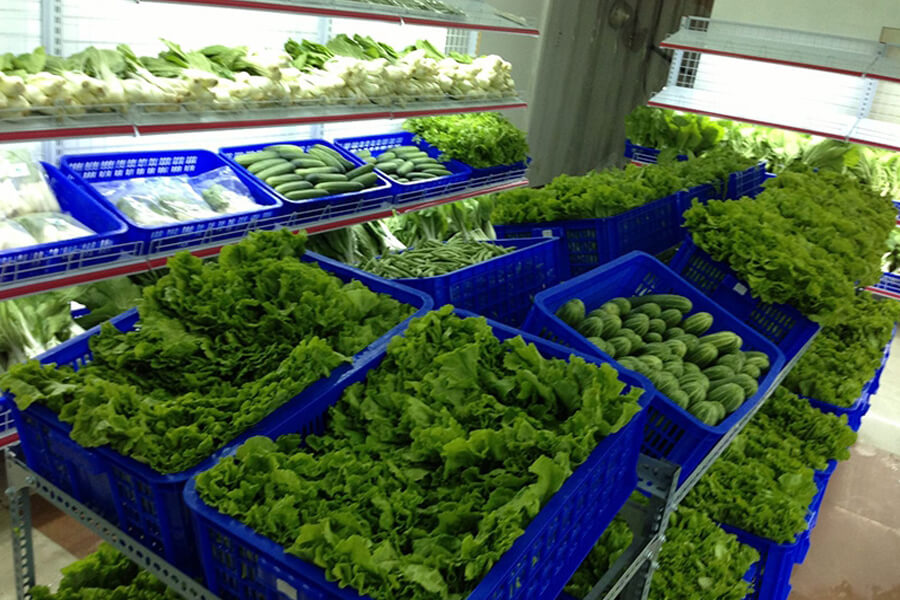 Địa chỉ bán rau sạch giá rẻ tại Hà Nội