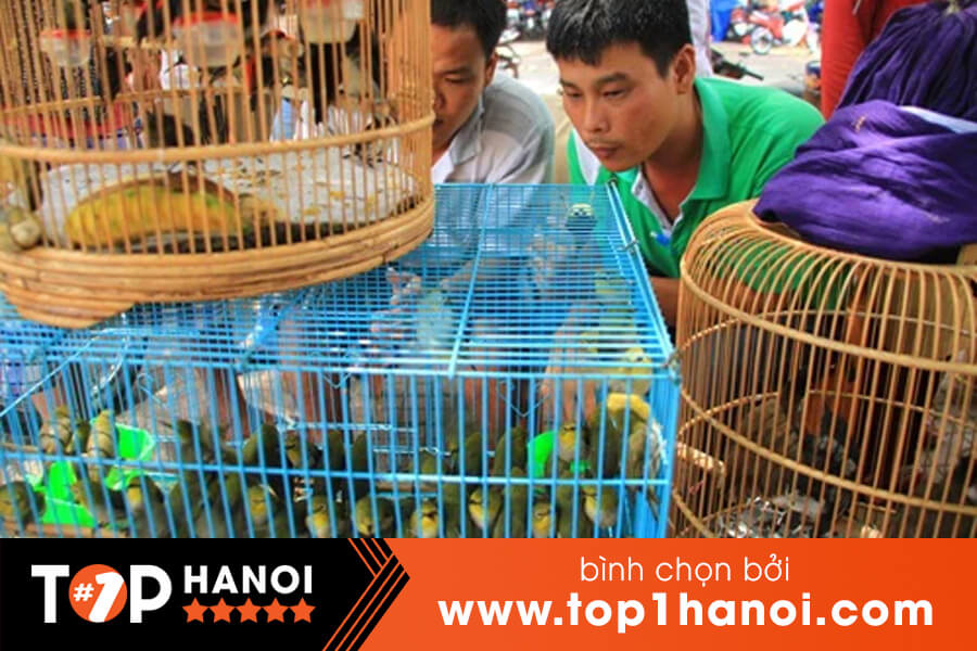 Vườn Quốc gia Xuân Thủy - Nơi đất lành chim đậu! | Báo Pháp luật Việt Nam  điện tử
