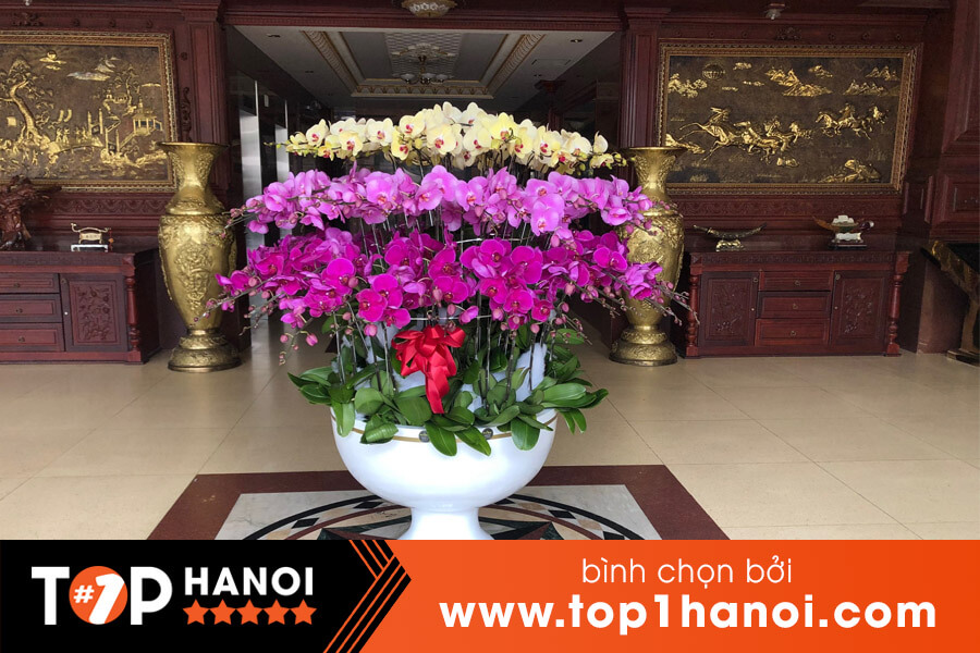 Cửa hàng hoa lan đẹp Hà Nội 79 